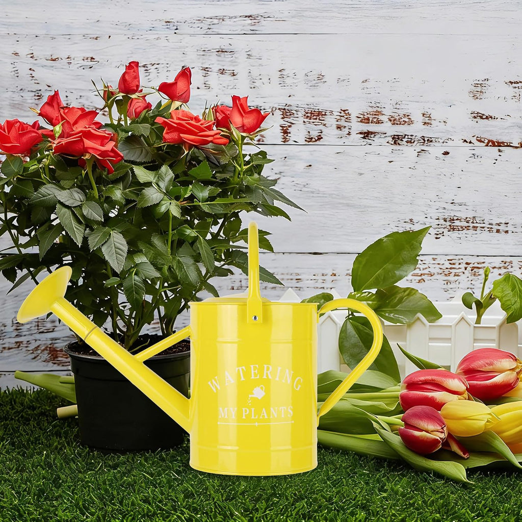 Garutom Galvanized Watering Can for Outdoor Indoor Plants, 1 Gallon Decorative Countryside Water Can with Removable