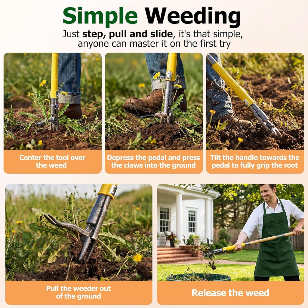 Stand Up Weed Puller Tool with Slide-Release System, Effortless Weeder for Lawn & Garden, 3-Section Wood Handle for