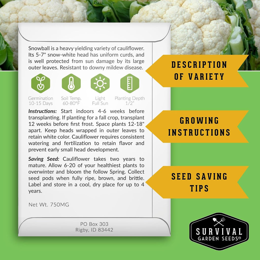 Farmer Seed Vault – 100 Packs of Seed for Heirloom Vegetable Gardens | Non-GMO Vegetables, Fruits, Herbs for Planting –
