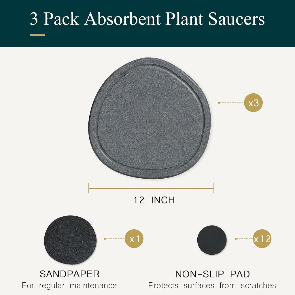 12 Inch 3 Pack Diatomite Plant Trays to Catch Water, Plant Pot Saucers | XRzitky Quick Absorbent and Dry Water Catcher