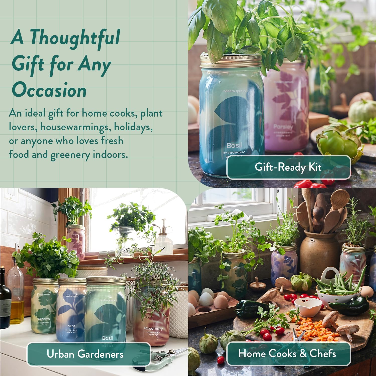Modern Sprout Garden Jar Gift Pack - Hydroponic Kit - Basil, Parsley & Mint | Self-watering growing system w/organic