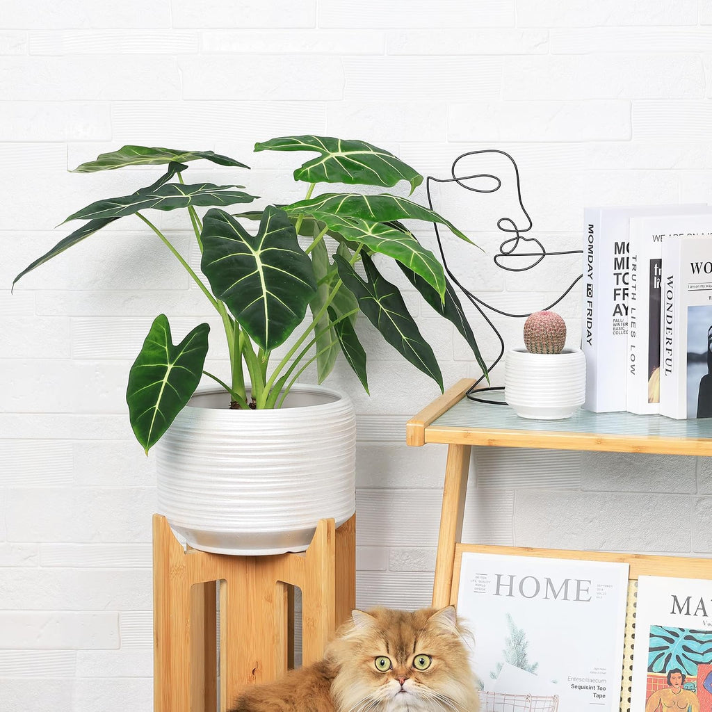 10 Inch Ceramic Plant Pot with Drainage – Large Flower Pot for Indoor Outdoor Plants, Modern Decorative Planter for