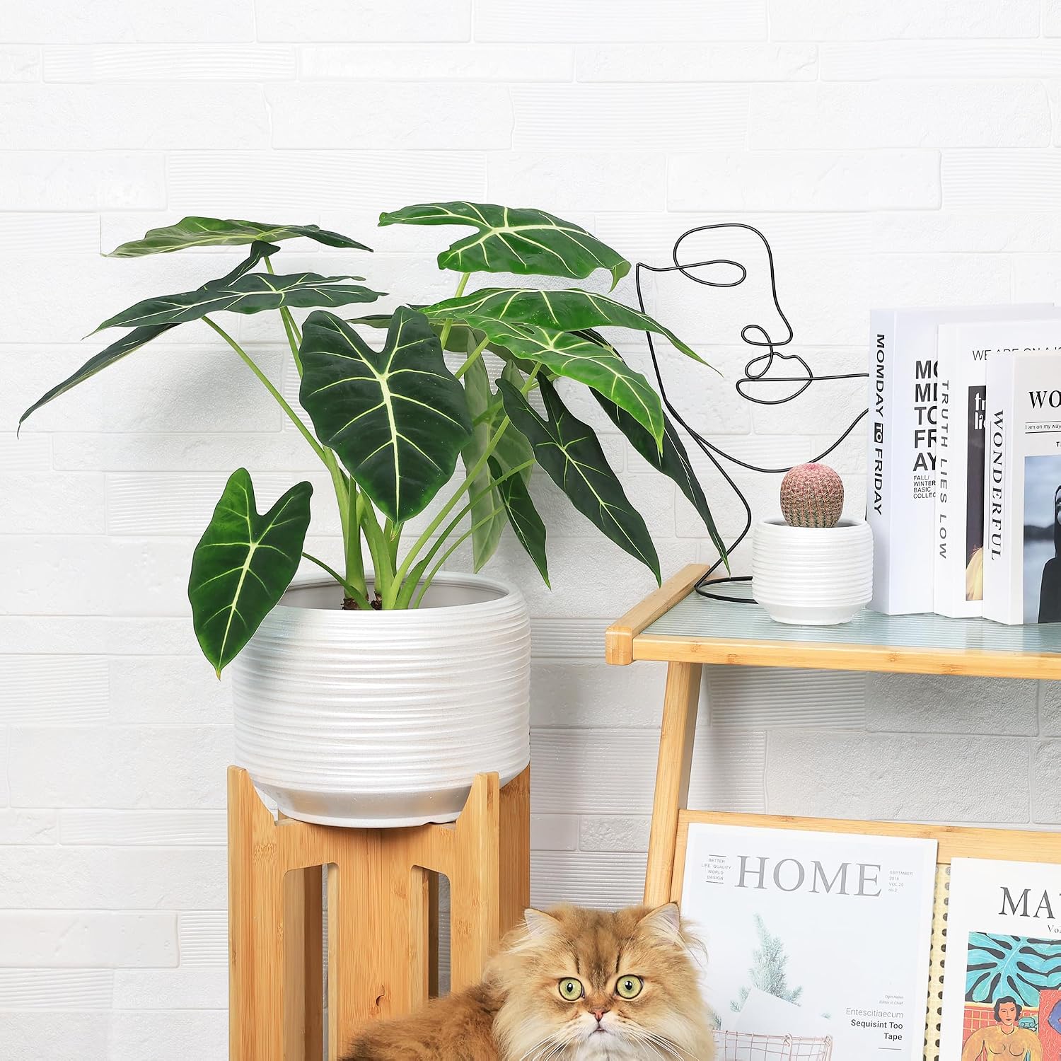 10 Inch Ceramic Plant Pot with Drainage – Large Flower Pot for Indoor Outdoor Plants, Modern Decorative Planter for