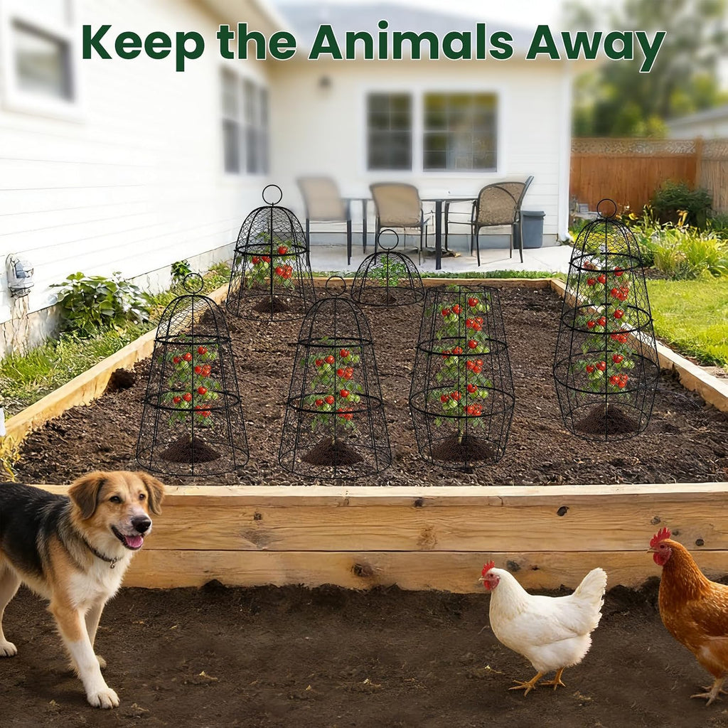 6 Pack Garden Cloche Plant Protectors from Animals, Adjustable 3-Tier Chicken Wire Plant Cages for Outdoor Plants