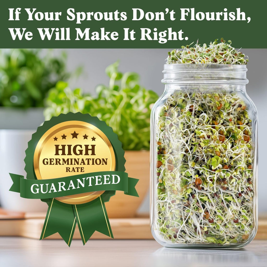 Organic Non-GMO Sprouting Seeds 2-Pack (Superfood/Protein) | Two 8 oz Bags Make 14 Quarts / 56 Servings; USDA Certified