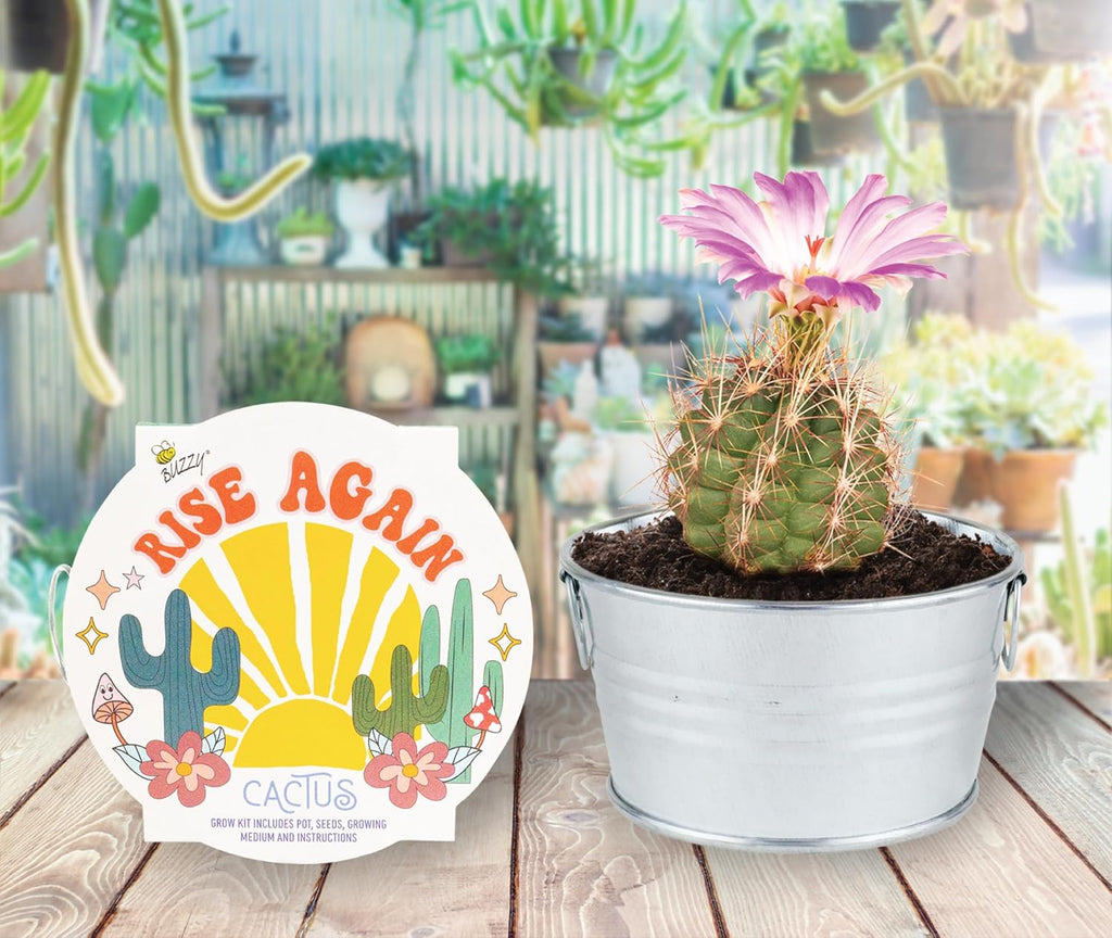 Buzzy Seeds Cactus, Moss Rose & Aloe Grow Kit 3-Pack - Ceramic Planter - Complete Indoor Gardening Kit with Seeds