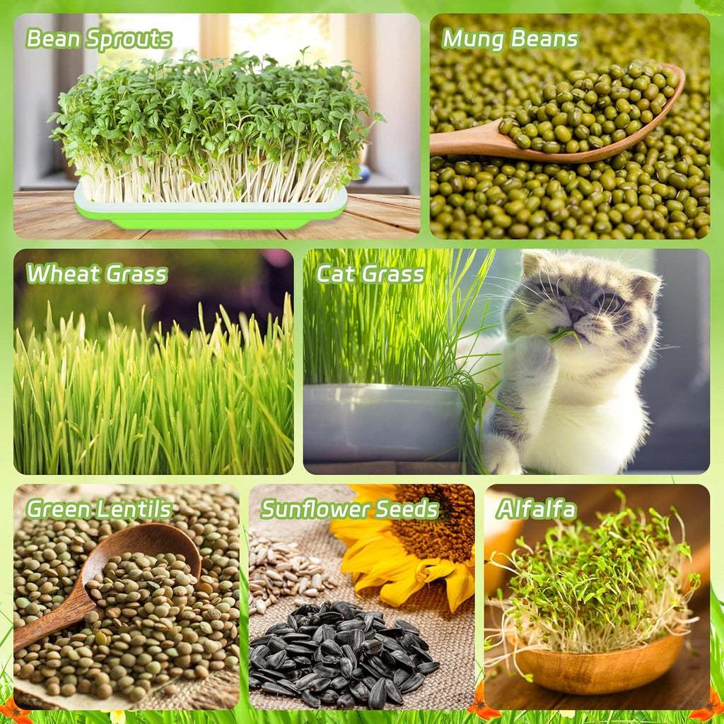 16 Pack Seed Sprouter Trays- Soil-Free Cultivation Germination Tray, BPA Free Nursery Tray with Planting Paper for