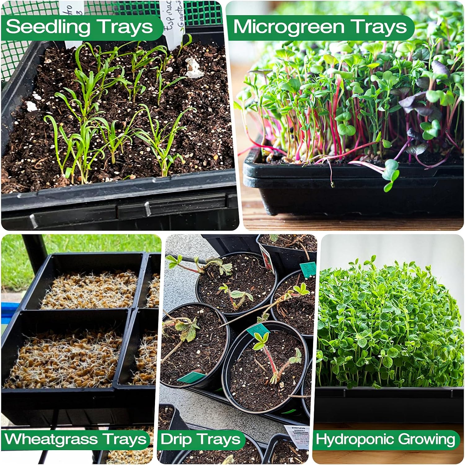 ZJP 20 Pack Extra Thick 1020 Heavy Duty Seed Starter Trays - No Holes, Reusable, 2.44 in Deep, Plastic Plant Growing