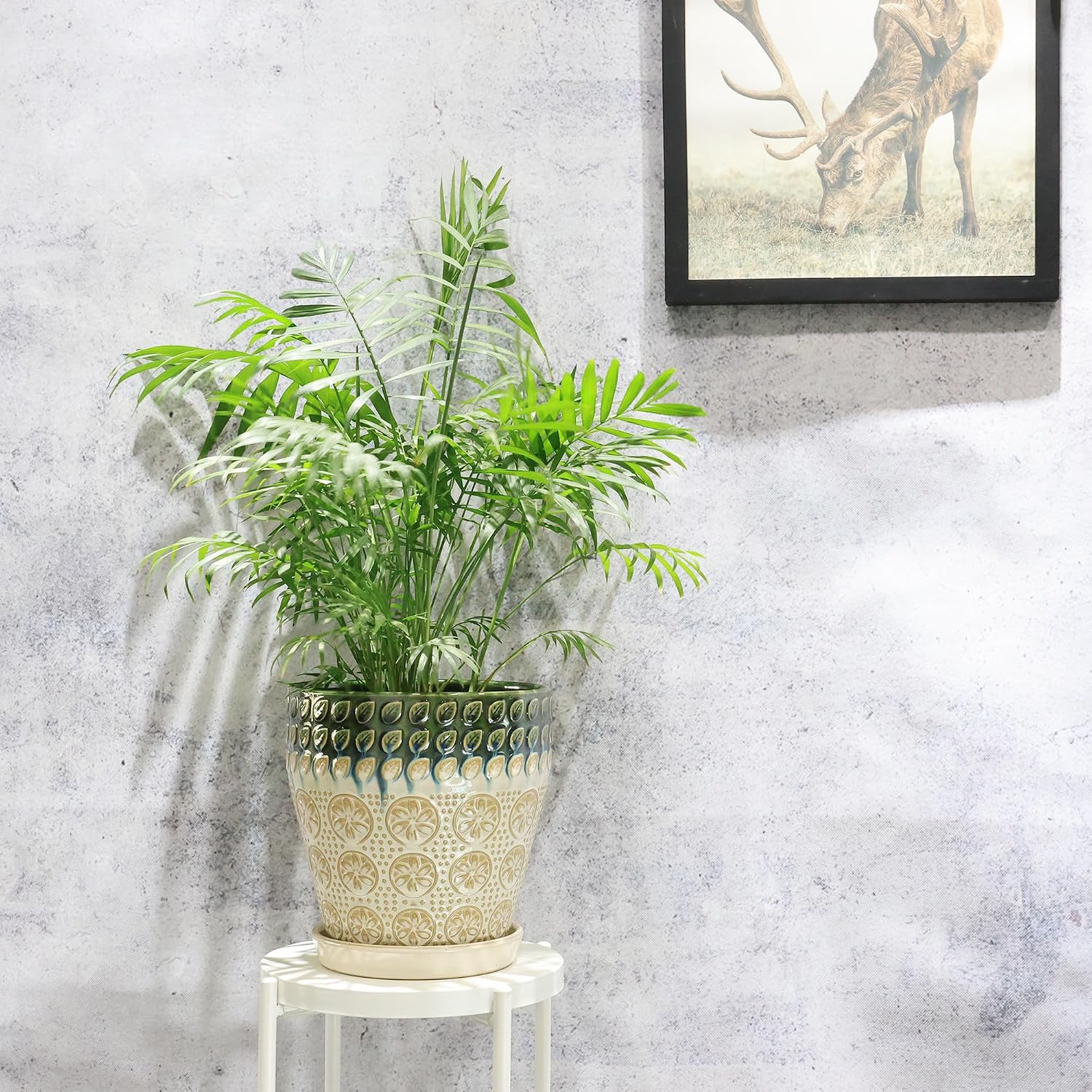 Ceramic Planter Pots for Indoor Plants, 8Inch + 6 Inch Plant Pot with Drainage Holes, Saucers and Mesh Pads, Succulent