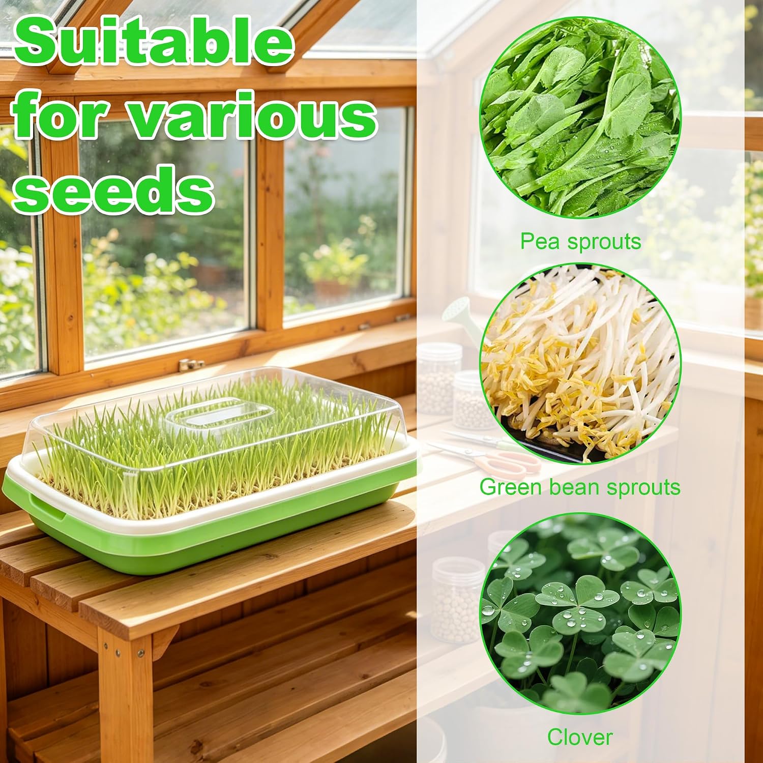 AKAZA 4 Pcs Green Seed Sprouter Trays with Lid Soil-Free Germination Trays | Nursery tray with planting paper;