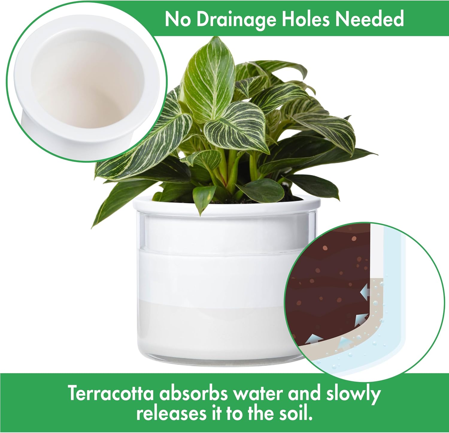 Phoenix Vine 6 Inch Self Watering Planter, Design White Terracotta Pot for Plants, Indoor Cylinder Terra Cotta Pot with