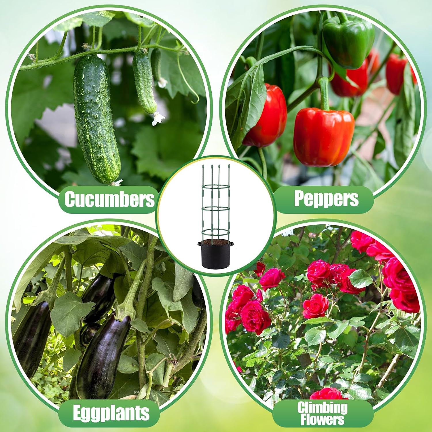2 Sets Sturdy Tomato Cage with 10 Gal Grow Bags - 48.5" Plants Garden Trellis Planter Kit, Support for Indoor Outdoor