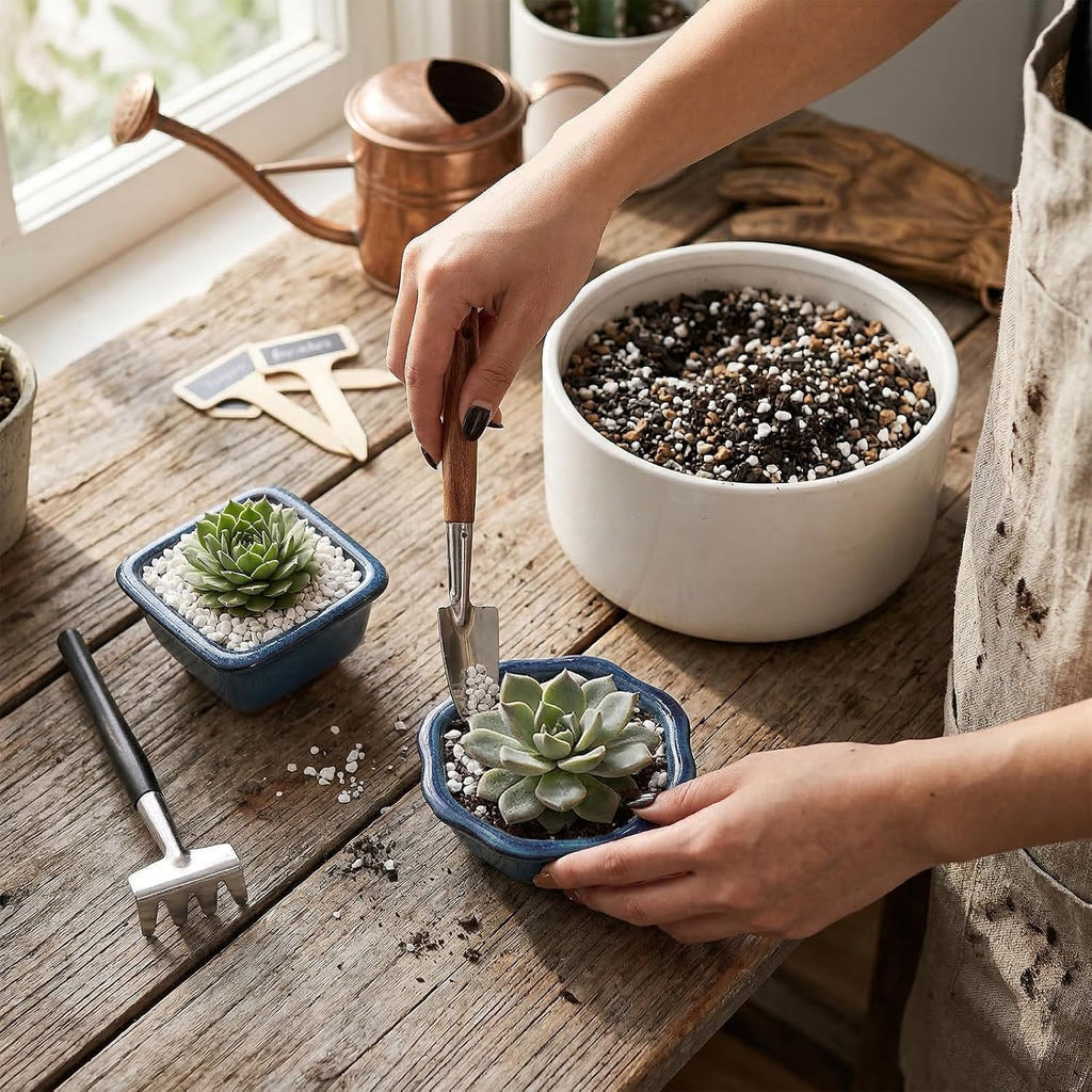 6 Pack Bonsai Pot Planter, 3" 4" Ceramic Glazed Succulent Pots | Small Succulent Planters with Drainage, Training Pot