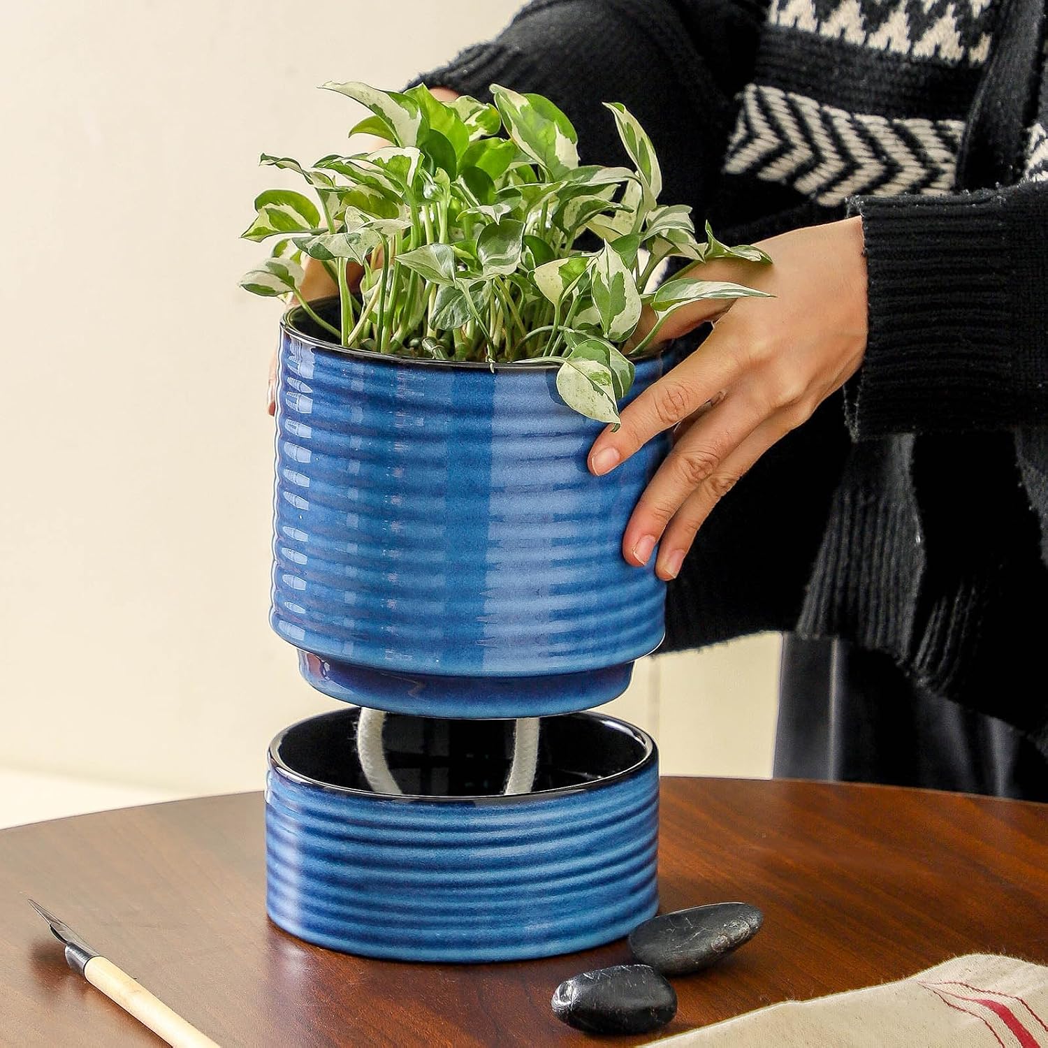 HASENSE Ceramic Self Watering Pots for Indoor Plant, 6 Inch Planter with Drainage Hole & Water Storage Saucer for