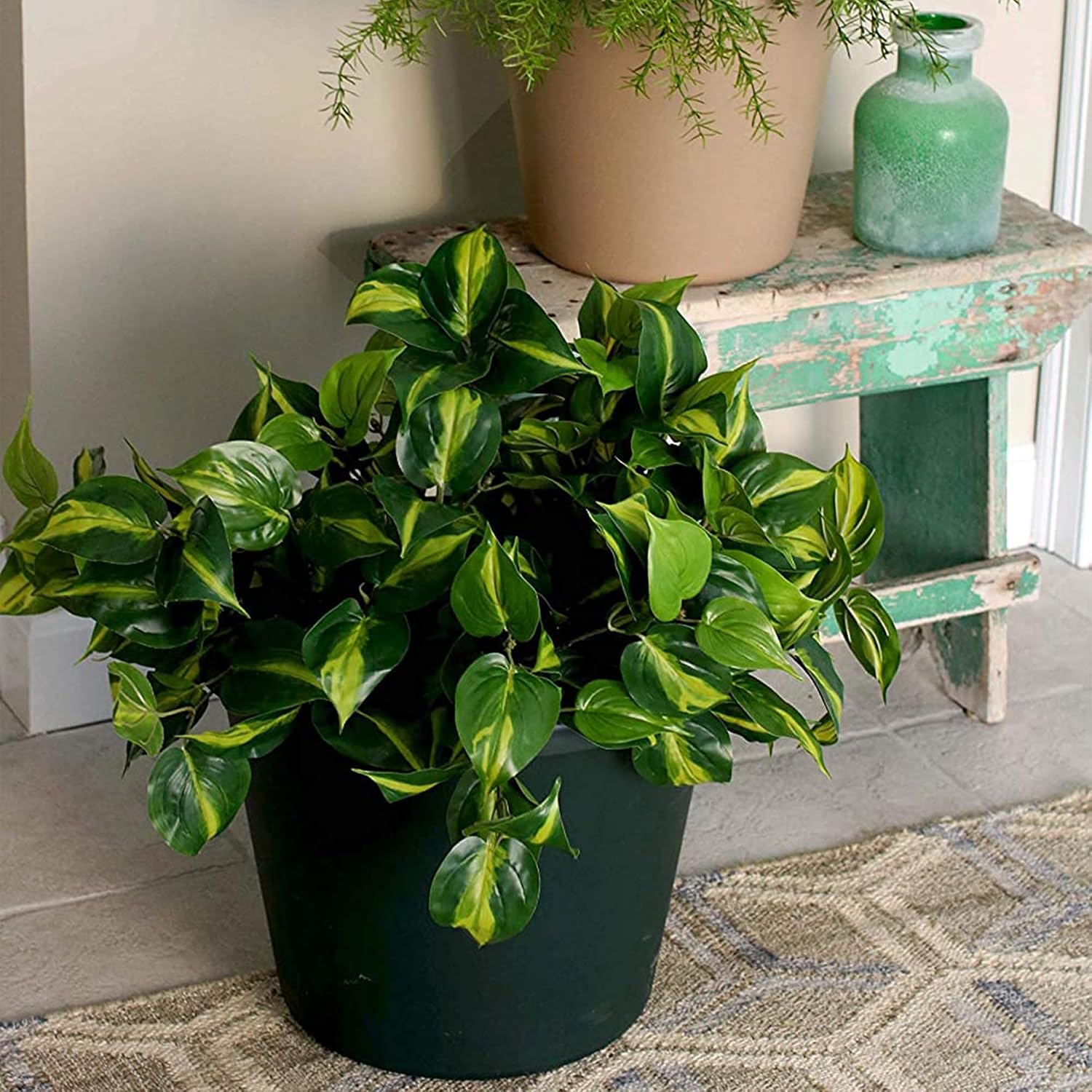 The HC Companies Classic Round Plastic Plant Pot w/Rolled Rim - Lightweight & UV Resistant Flower Pot for Herbs & More