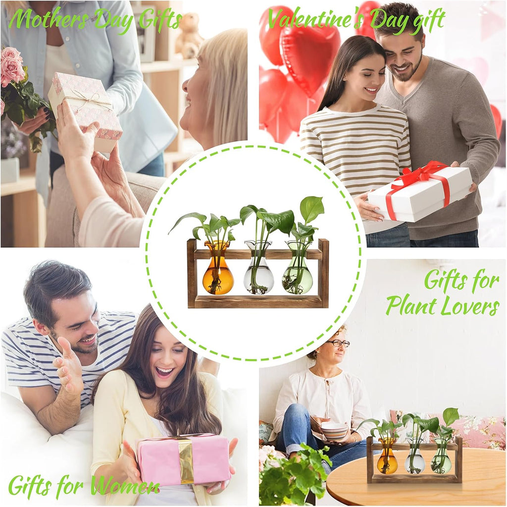 Plant Propagation Station Plant Terrarium Unique Birthday Gifts for Women | Plant Lovers Home Office Decor Planter with