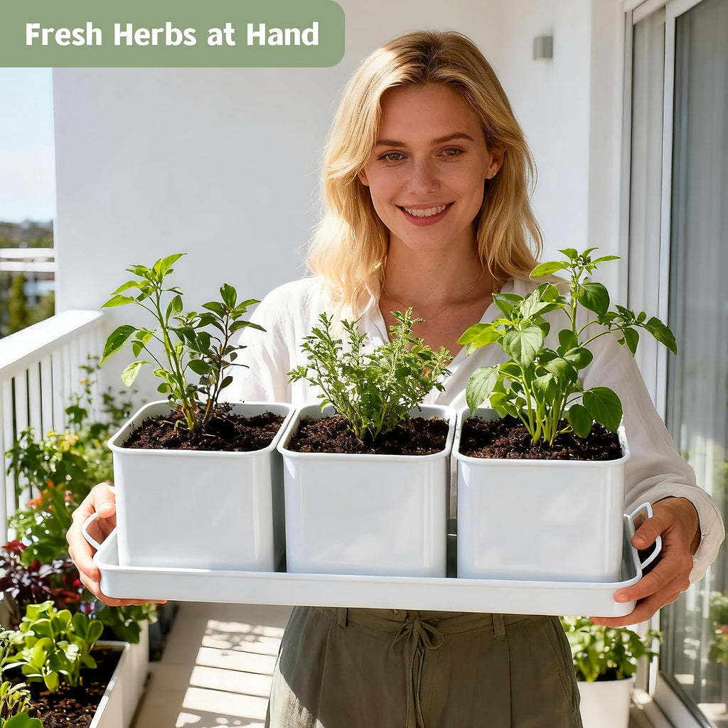 Indoor Herb Garden, Herb Planter Set with Handled Tray, 3 Iron Indoor Plant Pots with Drainage Holes, Windowsill