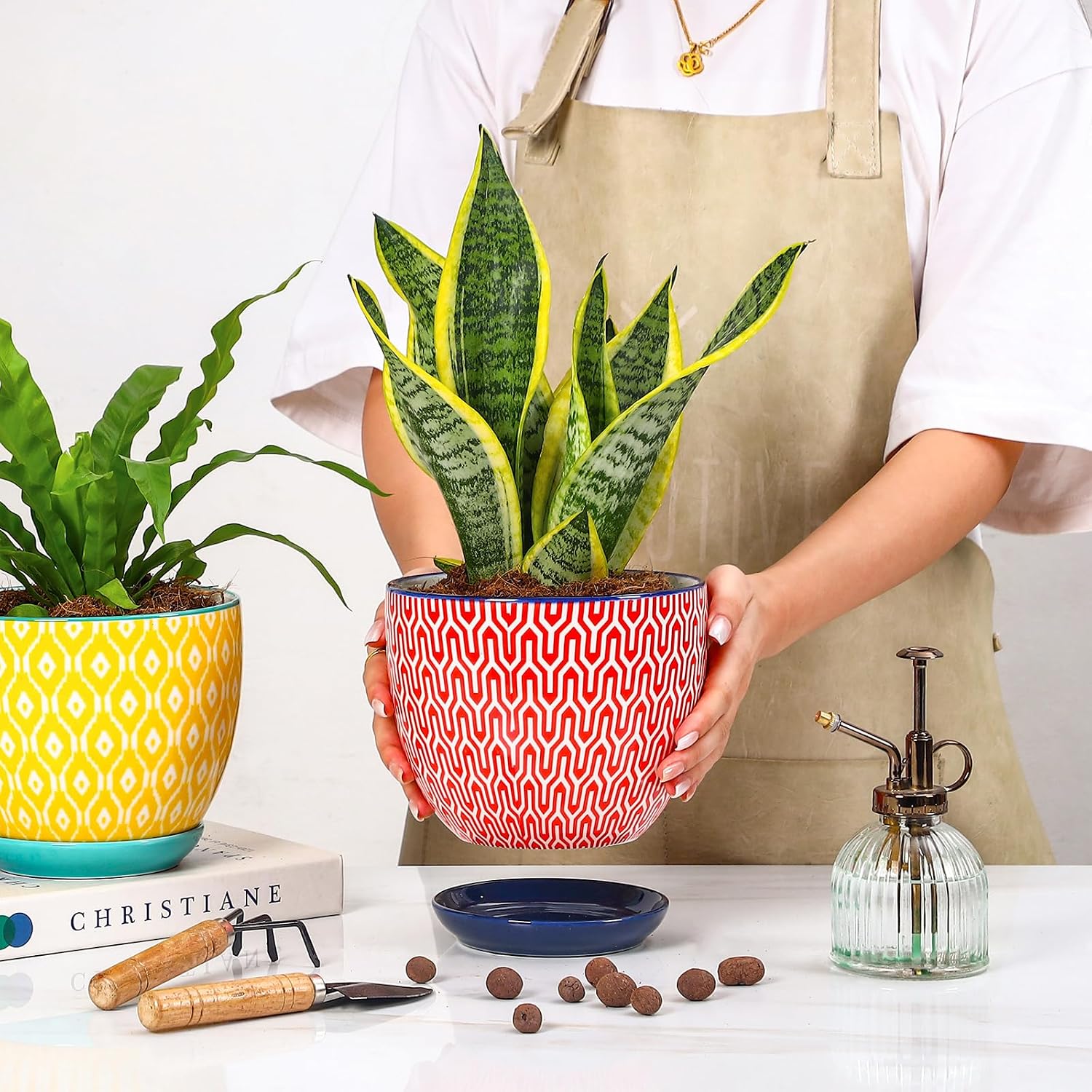 Selamica Ceramica Plant Pots, 6.5 Inch Flower Pots Set of 2 with Drainage Holes & Saucer, Planters for Indoor Plants
