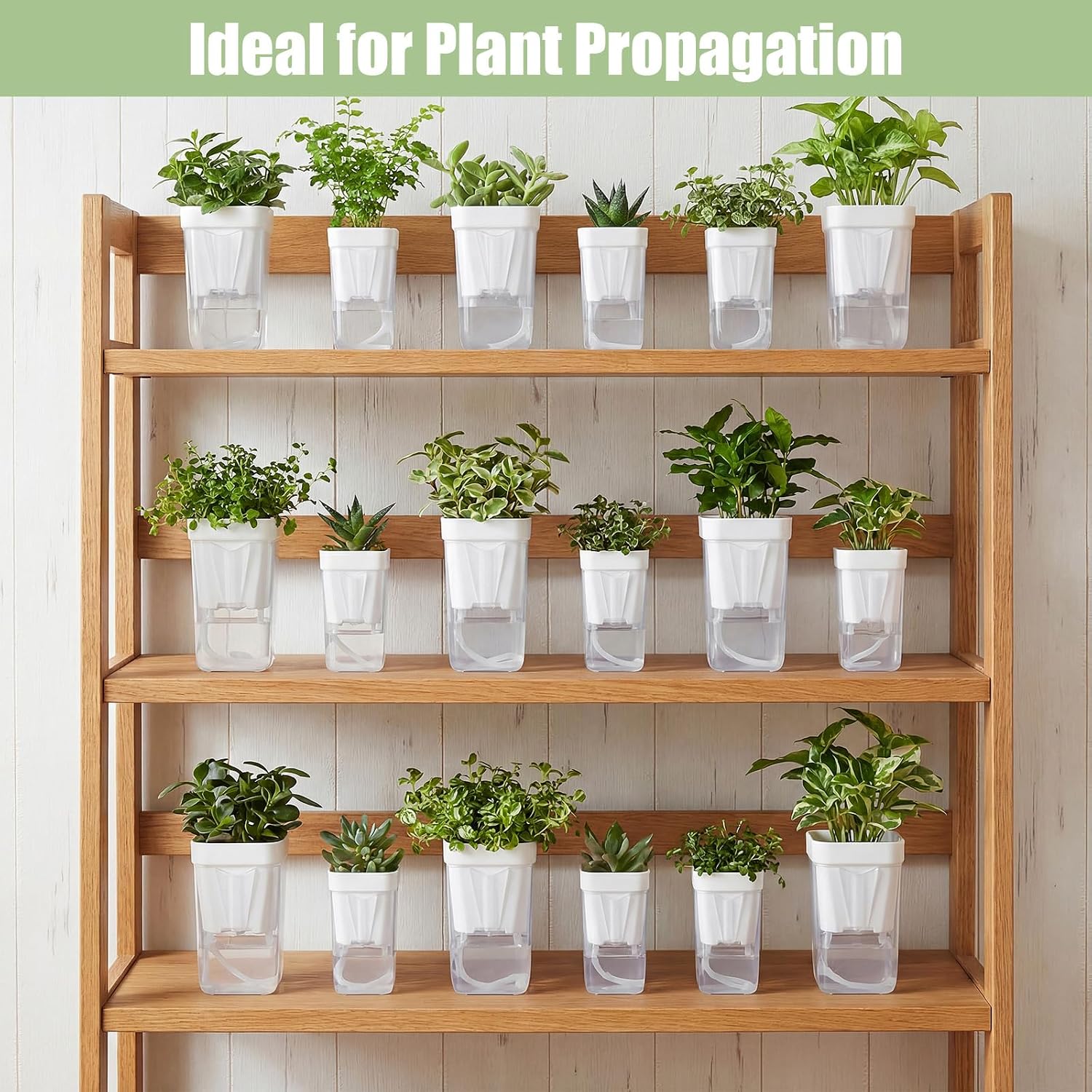 30 Pack 2" 2.5" Small Self Watering Pots for Indoor Plants Clear Mini Self Watering Plant Pot with Water Level Drainage