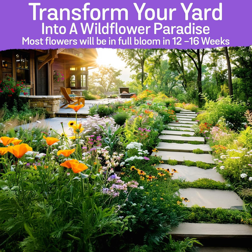 NatureZ Edge Wildflower Seeds, 1/2 lb, 340,000 Seed, 35 Variety Perennial & Annual Flower Seeds to Plant Outside, Bulk