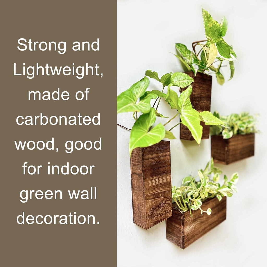 LaLaGreen Wooden Wall Planters (4 Pack) Hanging Wood Planter Box for Plants | Indoor Boxes Plant Holder Vase for Dried
