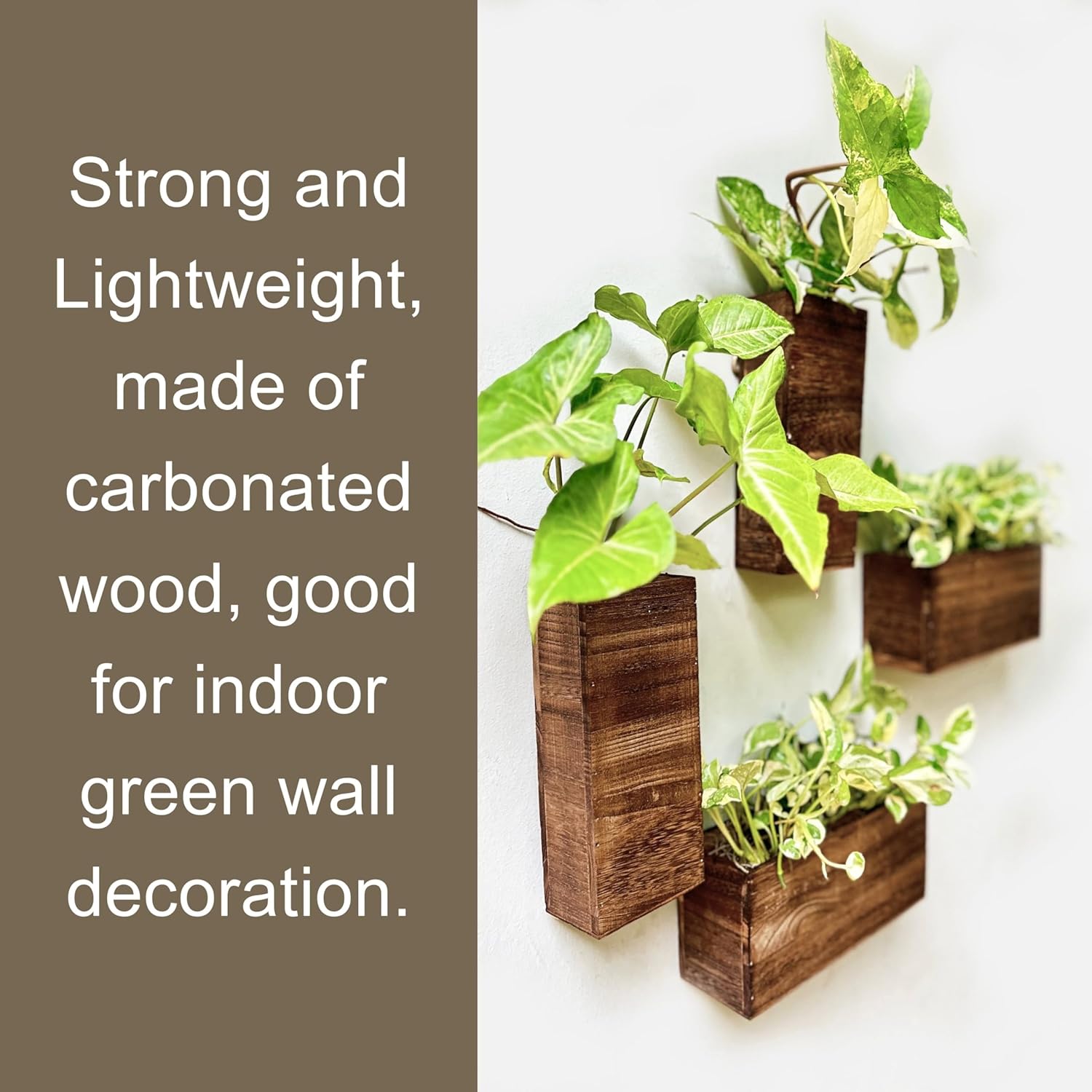 LaLaGreen Wooden Wall Planters (4 Pack) Hanging Wood Planter Box for Plants | Indoor Boxes Plant Holder Vase for Dried