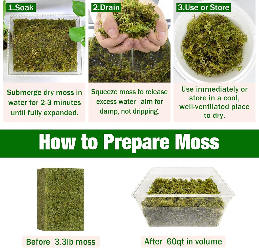 Sphagnum Moss for Repotting, Natural 3.3 lbs for Indoor Plants | For Orchids, Succulents, Potted Indoor Plants. Natural