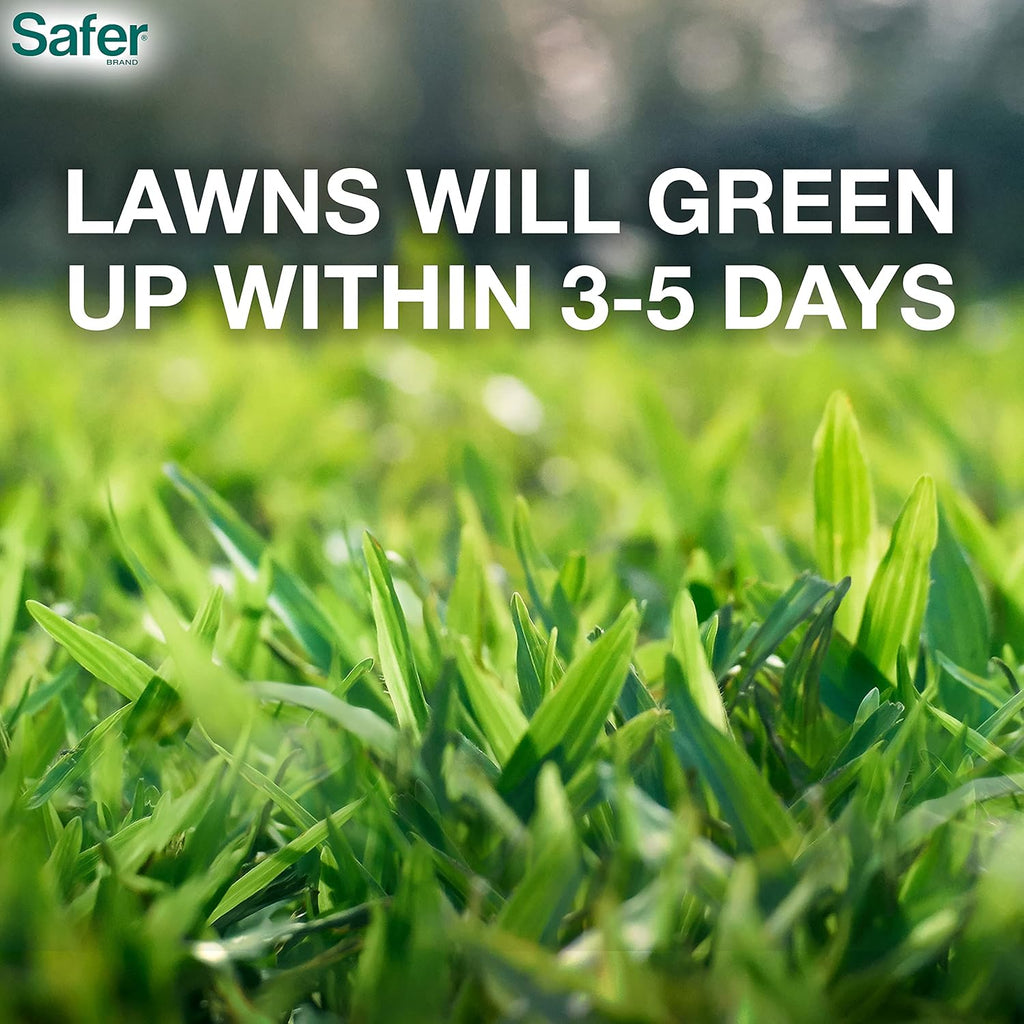 Safer Brand Lawn Restore Natural Lawn Fertilizer - 9335SR - Non-Burning Fertilizer - 9-0-2 NPK - Use for Healthy Grass