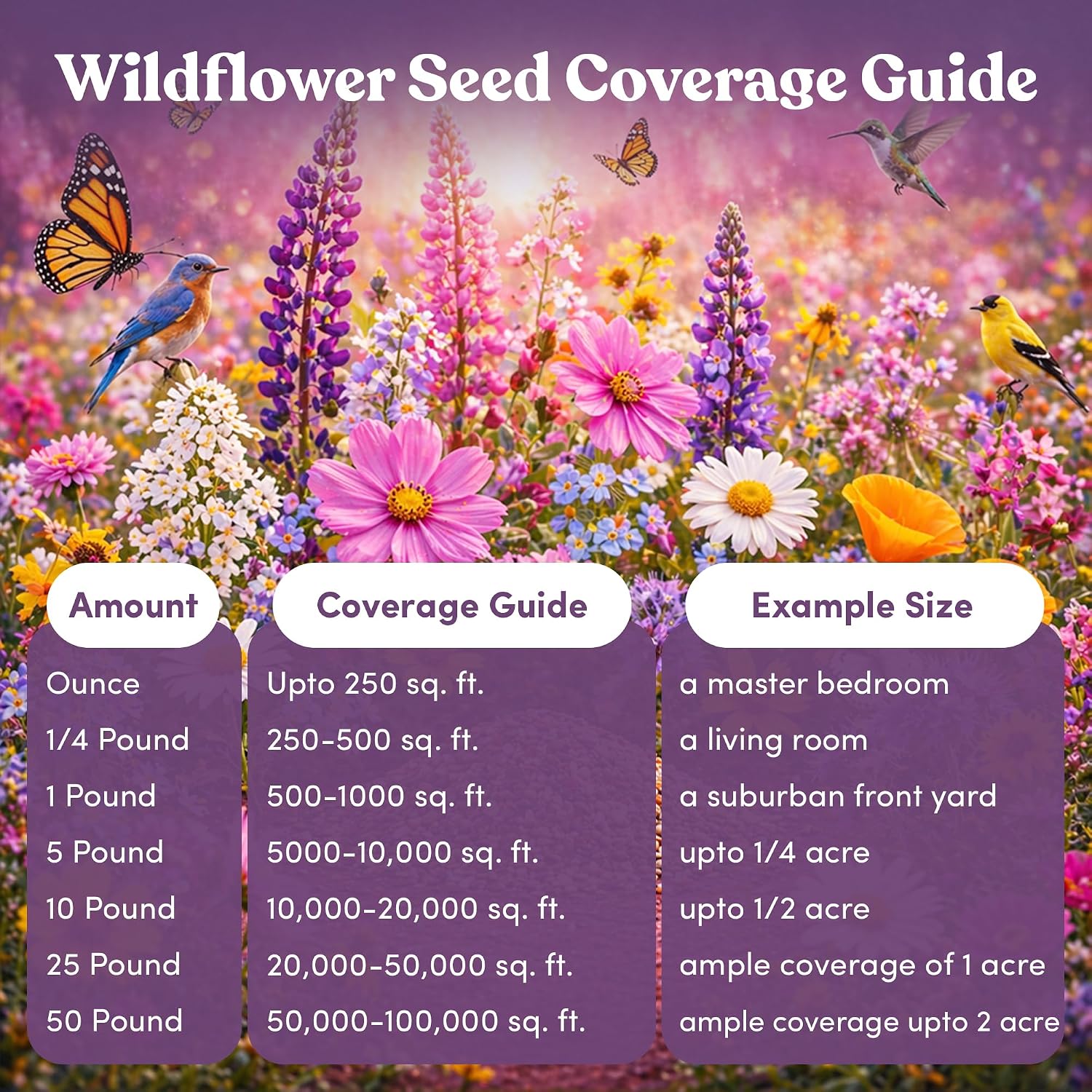 Bulk Wildflower Seed - Bird & Butterfly Garden Seed Mix | Bulk 300,000+ Annual & Perennial Flower Seeds for Planting