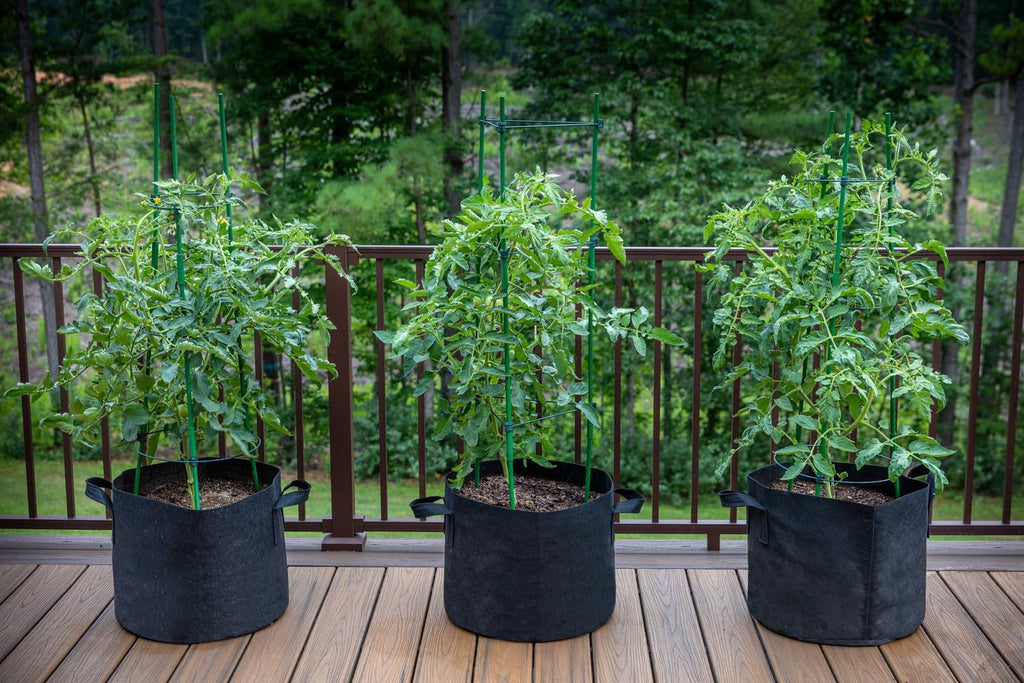 Gardzen 10-Pack 5 Gallon Grow Bags Fabric Pots with Heavy Duty Handles | Excellent Drainage & Breathability, Thickened