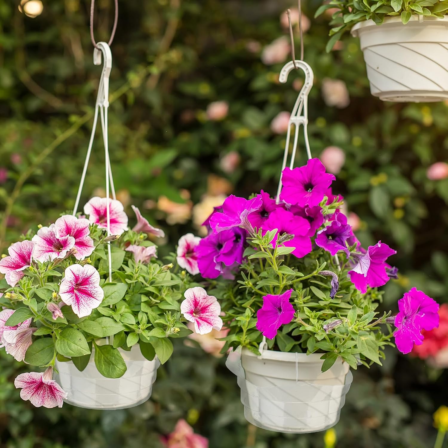 12 Pcs Hanging Plant Water Catcher Tray,6 8 10 12 Inch | Includes 4 Pcs Clear Plastic Plant Saucer Drip Pans for Indoor