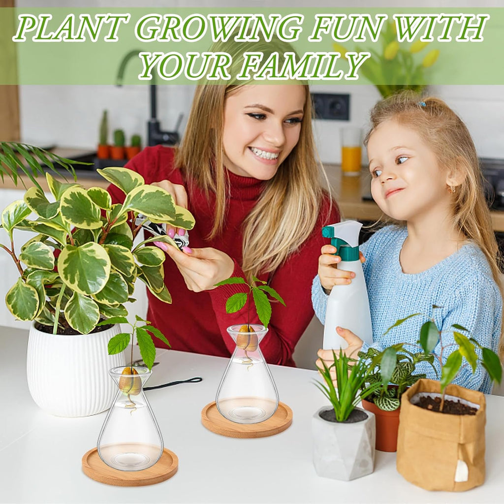6Pcs Small Avocado Seed Starter Vase with Bamboo Base Avocado Tree Growing Vase Kit Avocado Seed Sprout Starter Vase