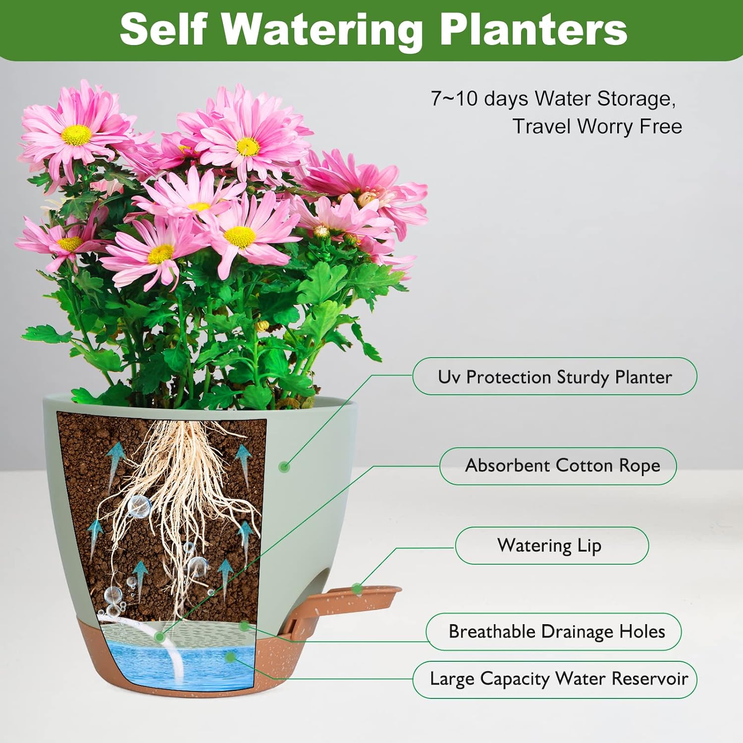 Vanslogreen Planters for Indoor Plants, 8/7/6.5/6/5.5/5 Inch Self Watering Planters with Drainage Hole, Plastic