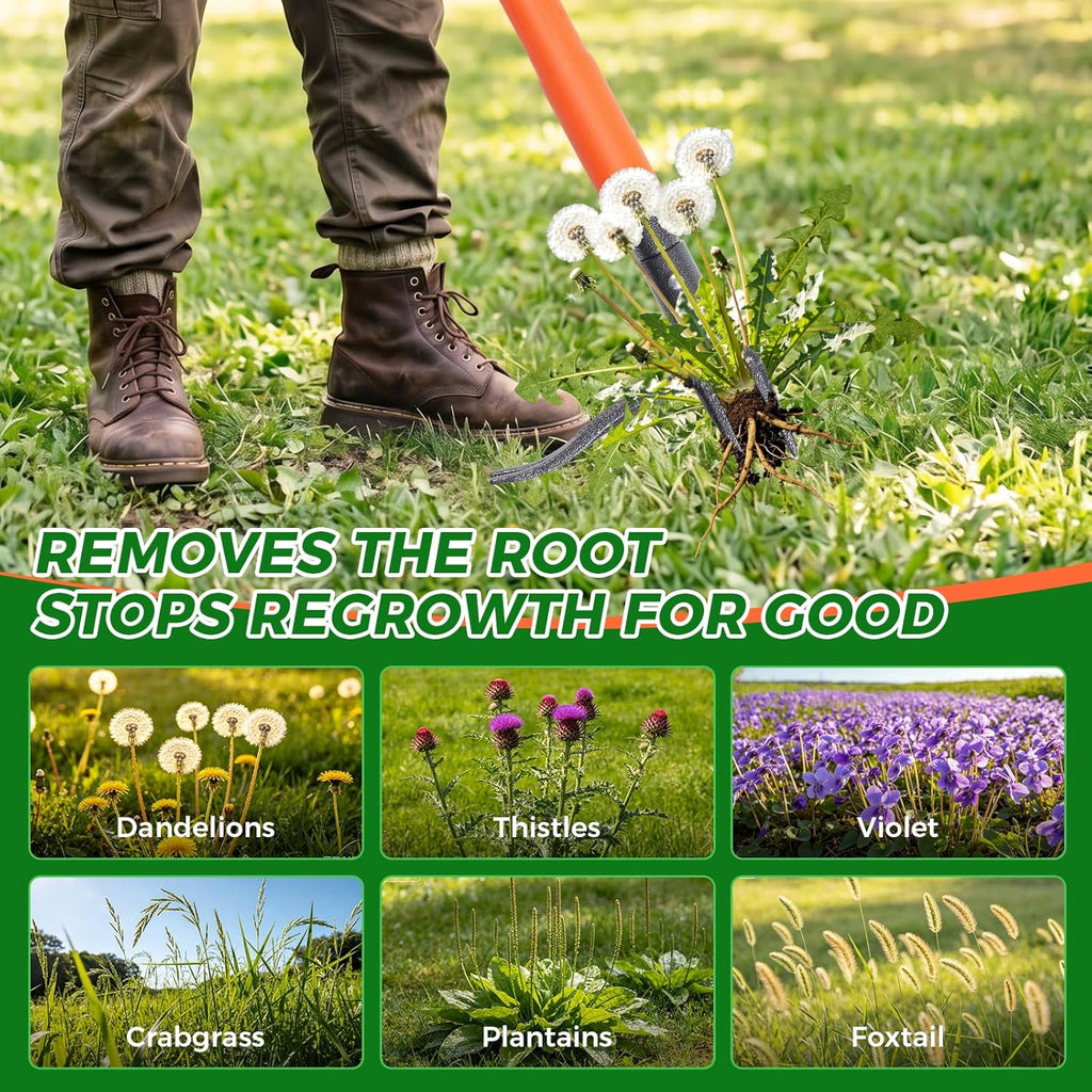 Stand Up Weed Puller Tool, 4-Claw Steel Head Deep Root Extractor with Dual-Eject Design, Real Bamboo Long Handle &
