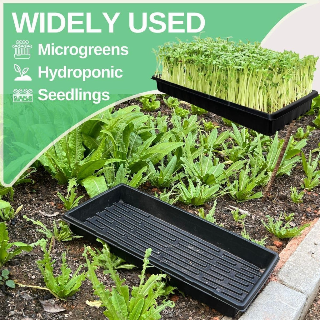 Standard 1020 Tray Sturdy Plant Growing Trays Plastic Seed Starter Tray for Microgreens Heavy Duty Seedling Trays No