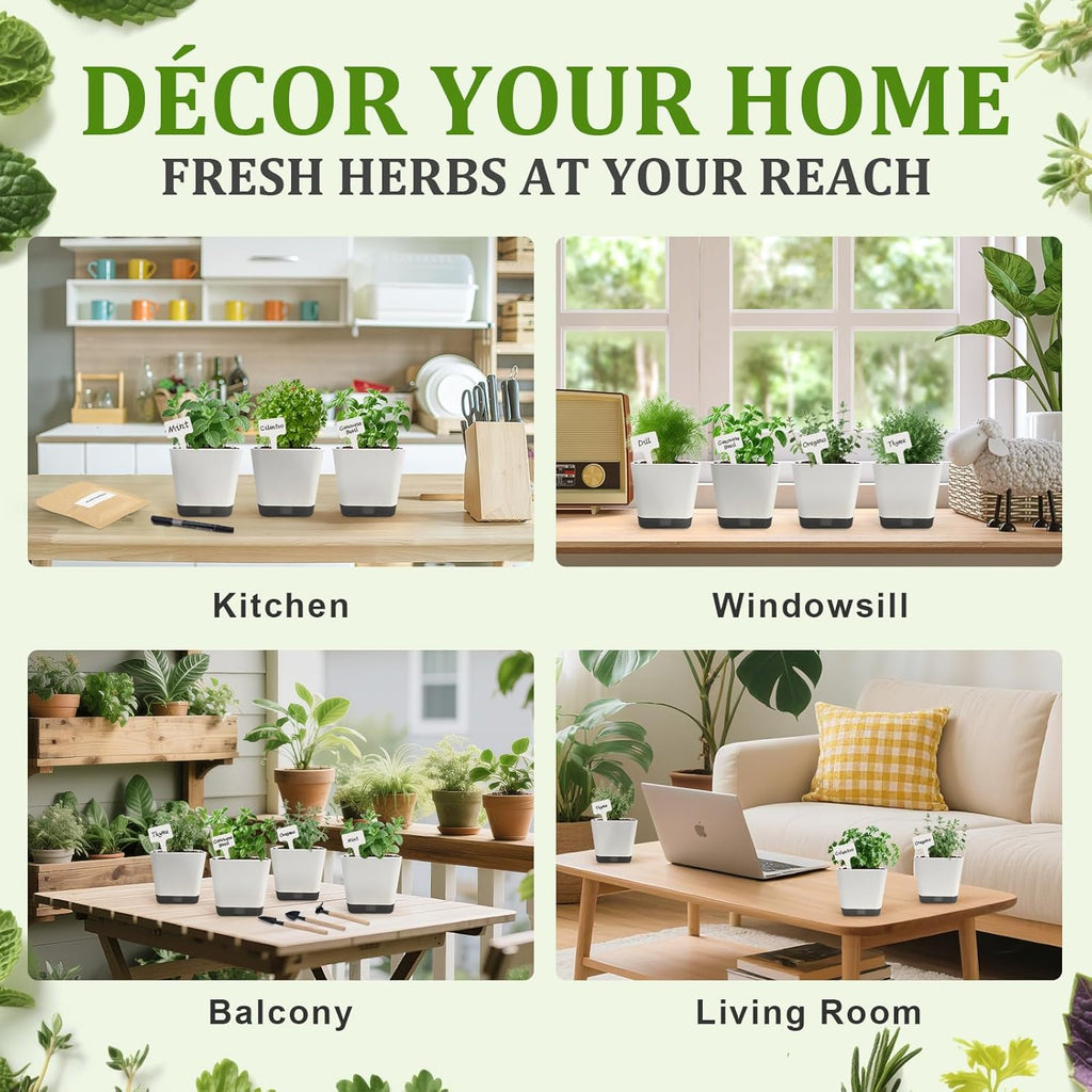 10-Set Indoor Herb Garden Starter Kit, 7 Seeds Growing into Basil, Parsley, Thyme, Mint, Cilantro, Dill, Oregano