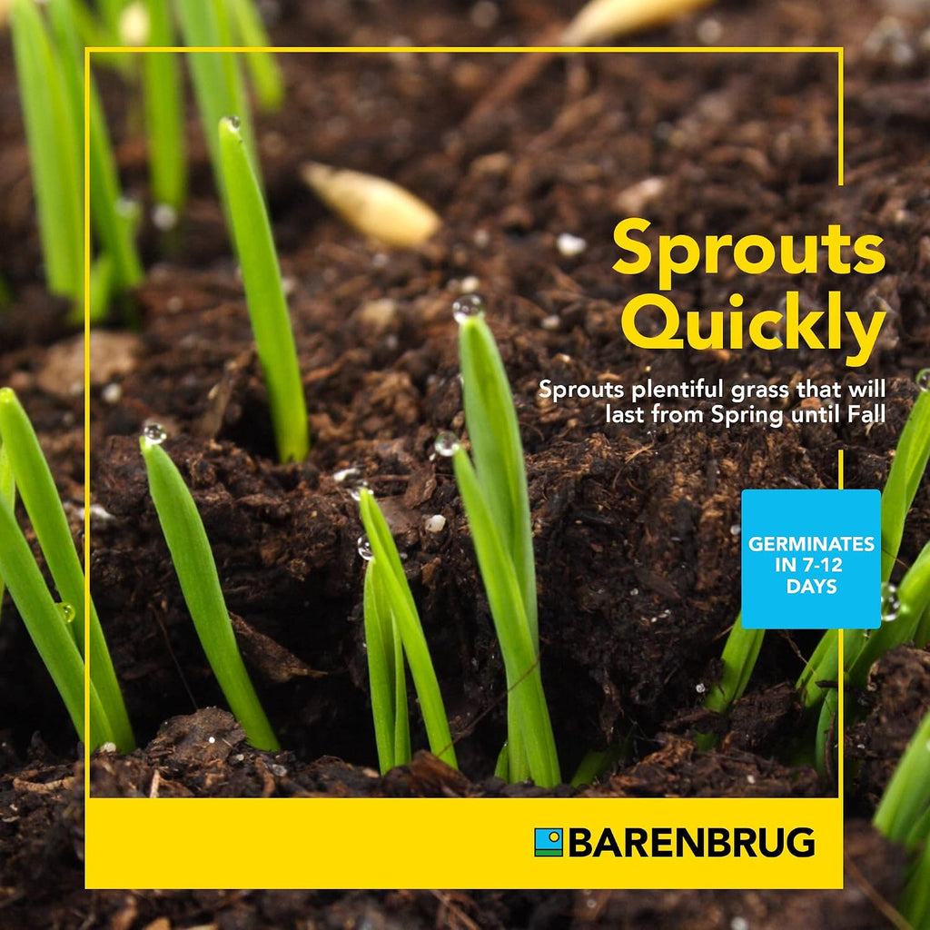 Barenbrug Wonderlawn Landscaper All-Purpose Grass Seed Mix, 15-Lbs., Covers 3,000 Sq. Ft.