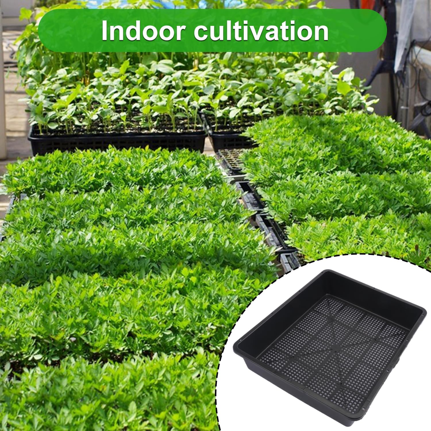 16 Pack Seed Starter Trays 15 x 12 inches Microgreens Growing Trays with Mesh Bottom for Germination, Hydroponic &