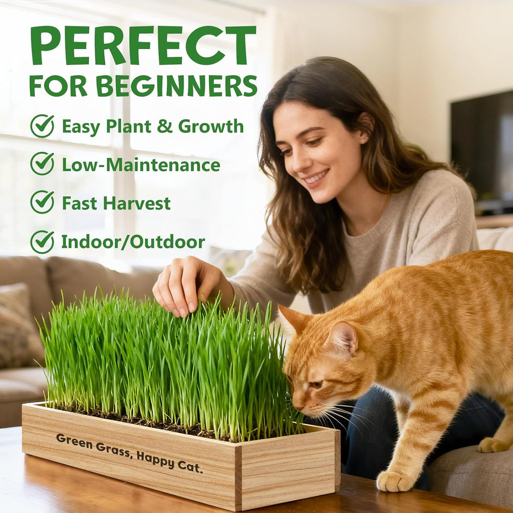 LUOJIBIE Cat Grass Kit for Indoor Cats, Cat Grass Seeds Set, Non-GMO Wheat Grass, Mothers Day Gifts for Mom, Unique
