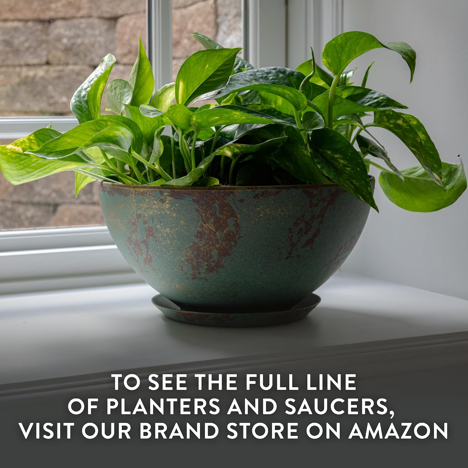Classic Home and Garden Rosie Modern Planter w/Drainage - Contemporary Planter Bowls - Shallow Round Vases for Small