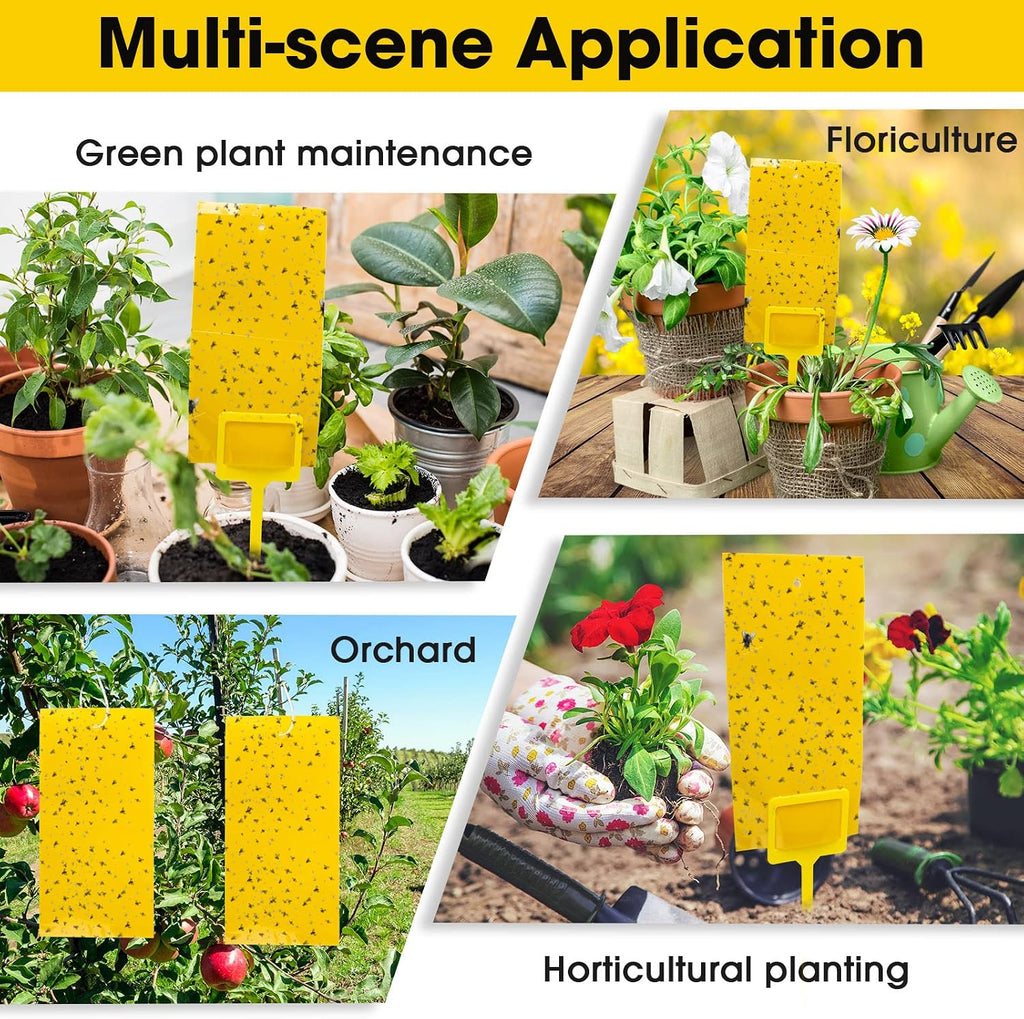 Qualirey 220 Pcs 7.9 x 4 Inch Yellow Sticky Traps for Plant Gnats Dual Sided Fruit Fly Sticky Traps for Indoors