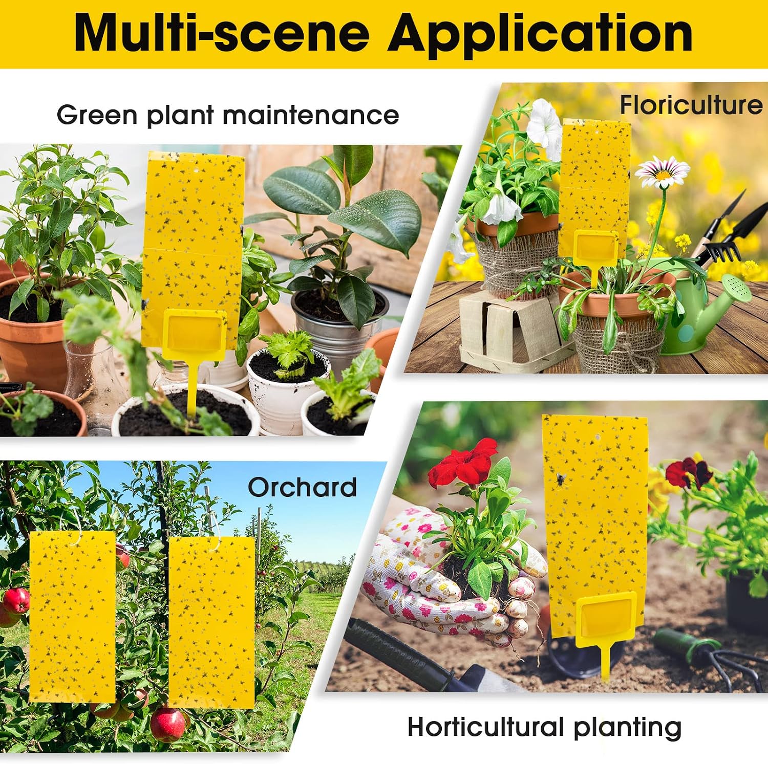 Qualirey 220 Pcs 7.9 x 4 Inch Yellow Sticky Traps for Plant Gnats Dual Sided Fruit Fly Sticky Traps for Indoors