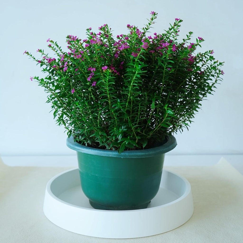 Plant Saucer Tray for Ceramic Plastic Pots, 20 inch Plant Saucers for Indoors, Pot Saucers Trays, Bird Bath Bowls