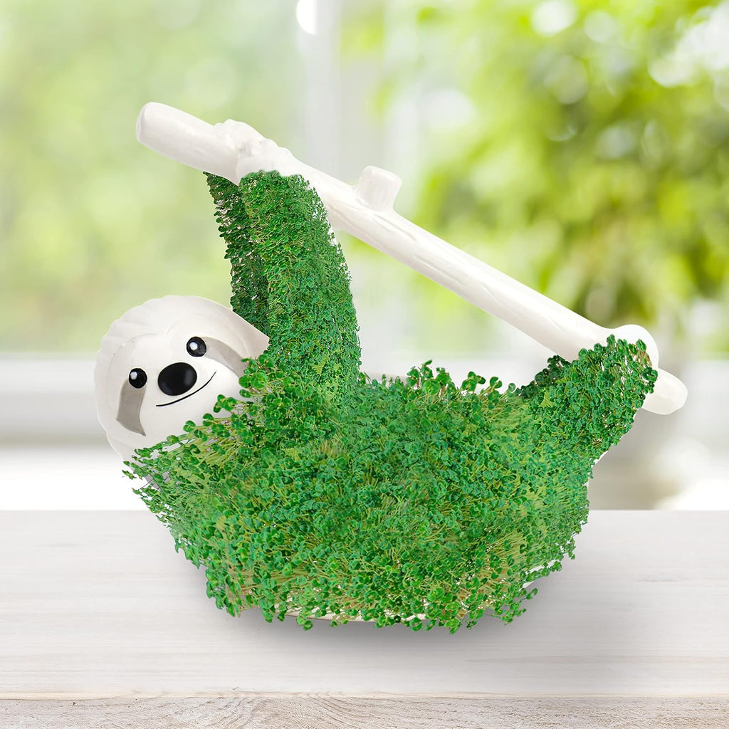 Sloth Shaped Chia Planter and Seeds. Desktop Sprouting Chia Animal. Fun Grow Kit Gift Idea
