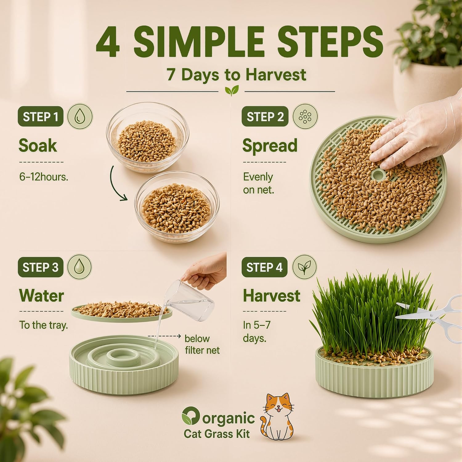 3-in-1 Slow Feeder Bowl, Cat Grass Growing Kit & Elevated Cat Food Bowl, | with Clear Germination Dome Splash Guard, 6