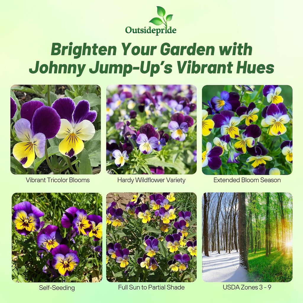 Outsidepride Johnny Jump Up Viola Wild Flower Seeds - 1/2 lb Easy-to-Grow, Compact & Hardy Perennial Seeds for Planting