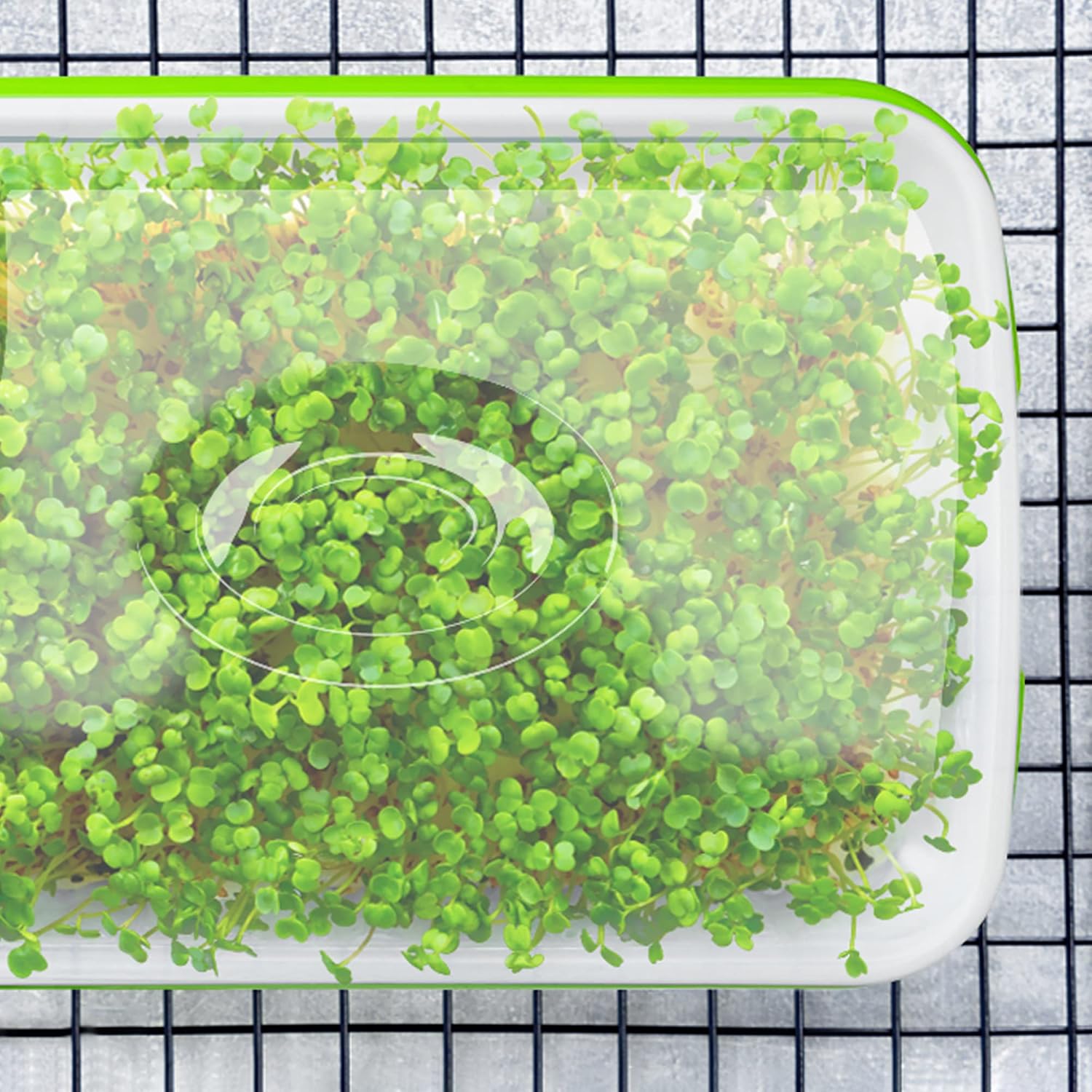Seed Sprouter Tray with Drain Holes,Seed Germination Tray Kit BPA Free Nursery Tray,Soil-Free Big Capacity Healthy
