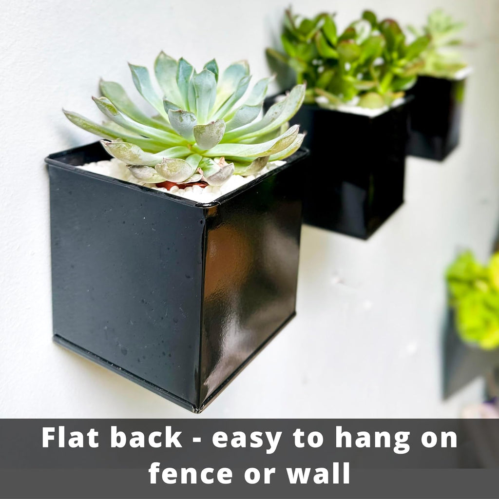 LaLaGreen Indoor Wall Planter (4 in, 6 Pack) Black Square Metal Wall Decor | Wall decor plant shelf black square small