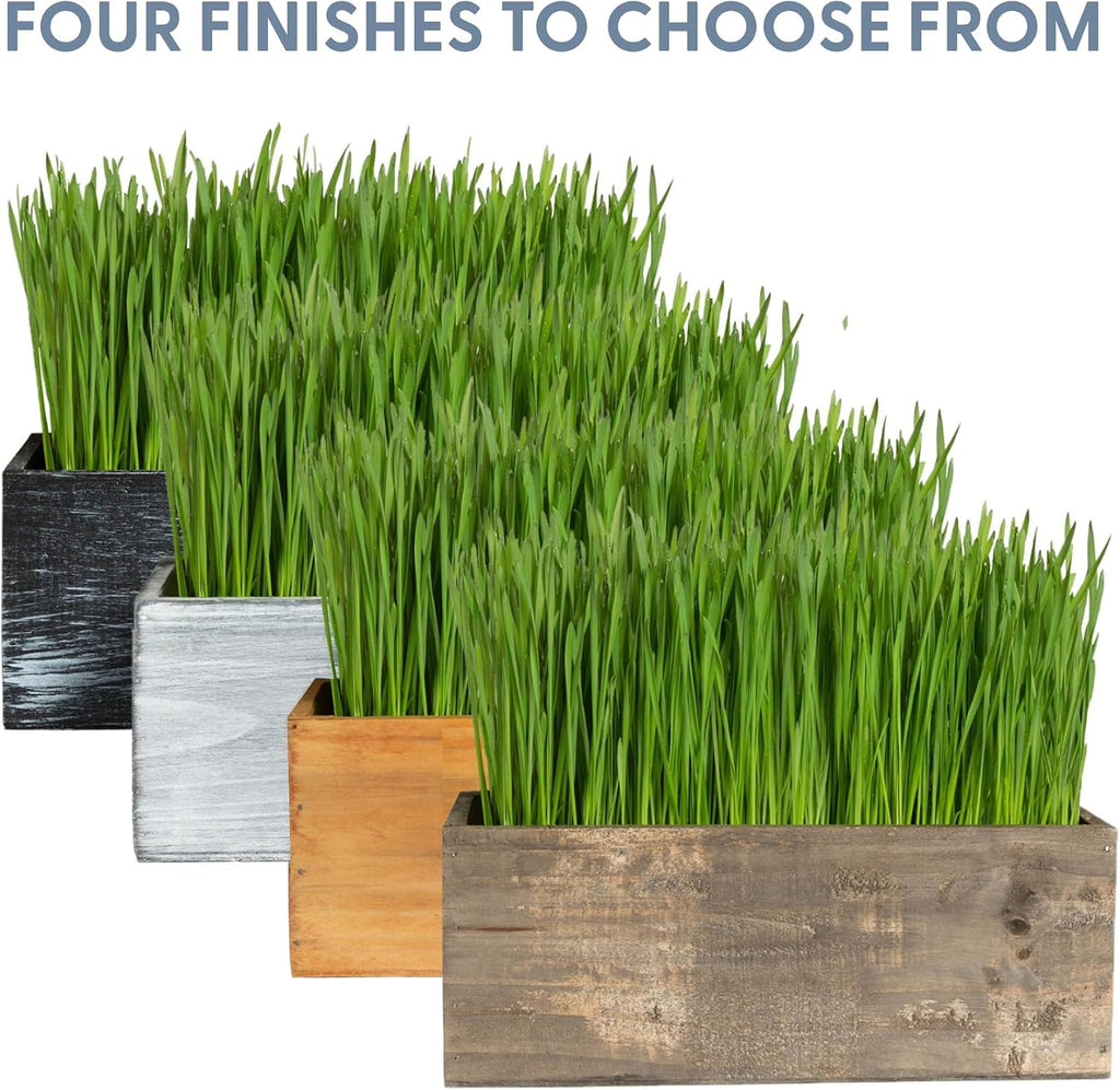 The Cat Ladies Cat Grass Kit with Rustic Wood Planter, Seed and Soil. Easy to Grow for Indoor or Outdoor Cats, Dogs and