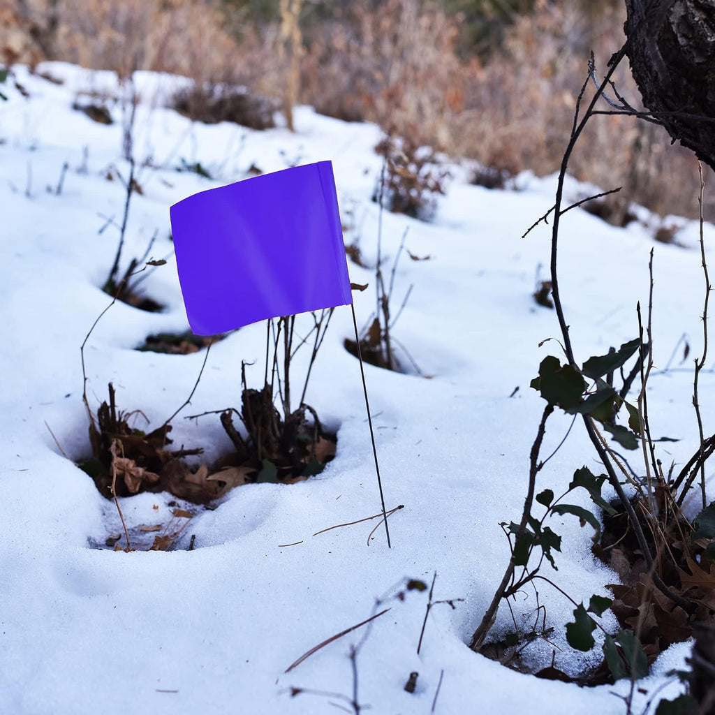 Purple Marking Flags 1000 Pack - 4x5x15 Inch Purple Flags for Outside - Markers For Lawn, Irrigation, Landscaping